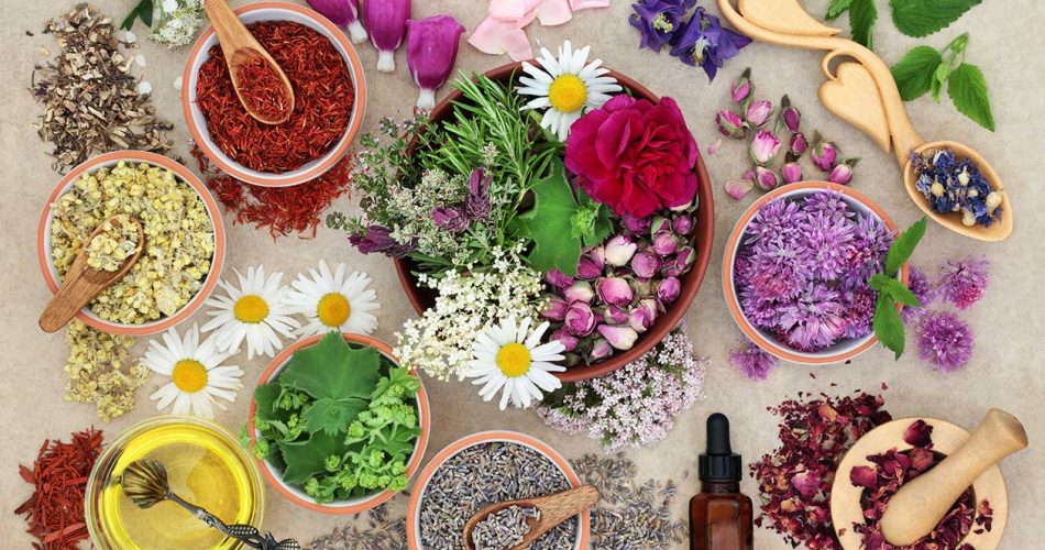Las-7-plantas-mas-aromaticas