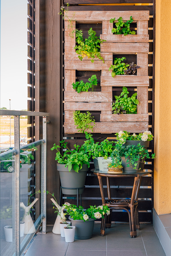 huerto-vertical-balcon