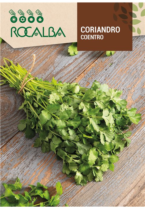 CORIANDER