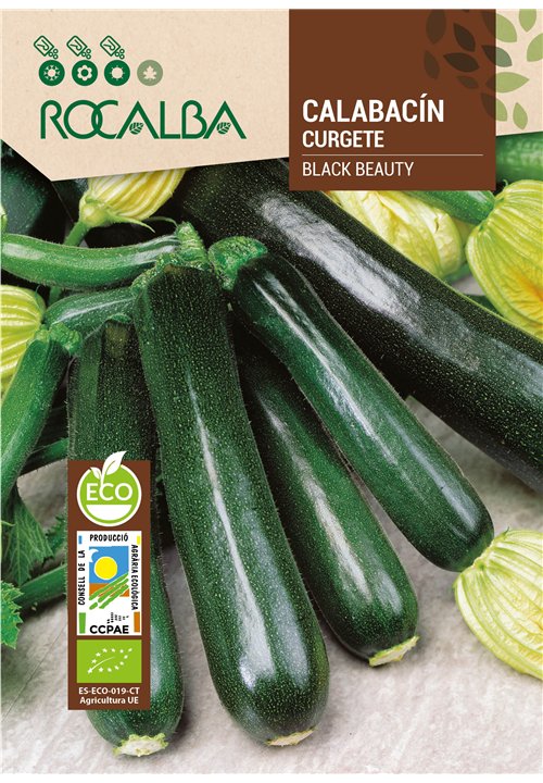 COURGETTE