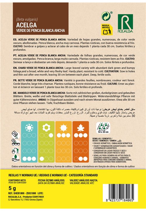 ACELGA VERDE DE PENCA BLANCA ANCHA