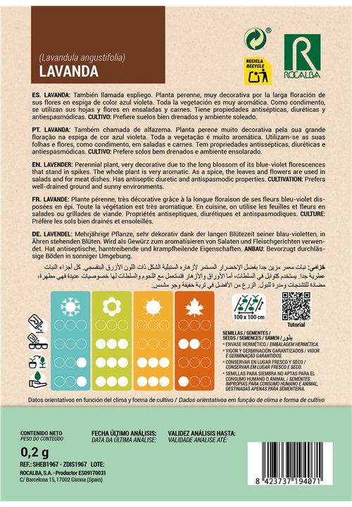 LAVANDA 