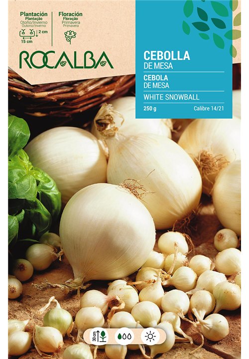 CEBOLLA SILVERMOON -BLANCA-
