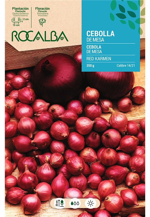 CEBOLLA COMRED -ROJA-