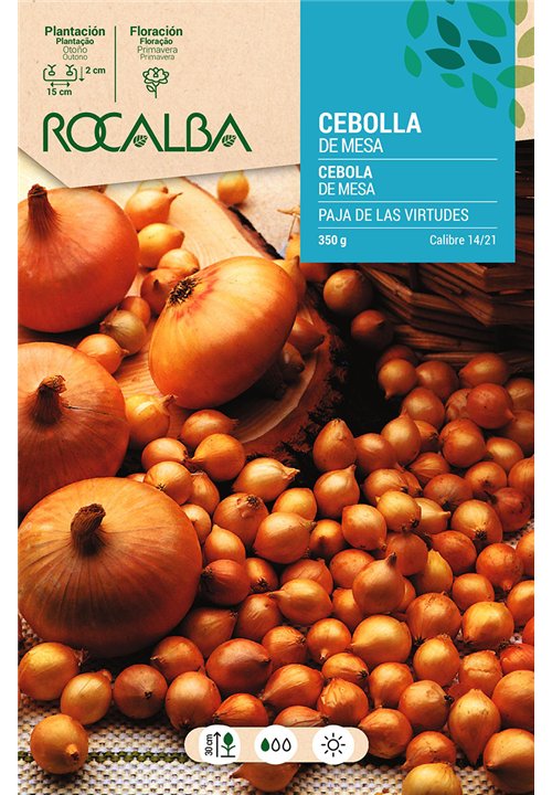 CEBOLLA PAJA VIRTUDES -AMARILLA-