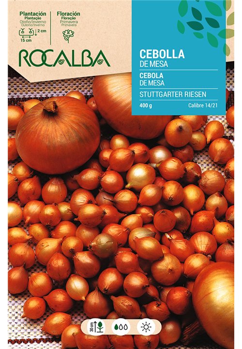 CEBOLLA STTUTGARTER RIESEN -AMARILLA-