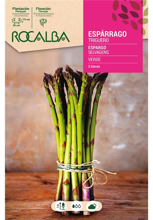 ESP�RRAGO TRIGUERO -VERDE-