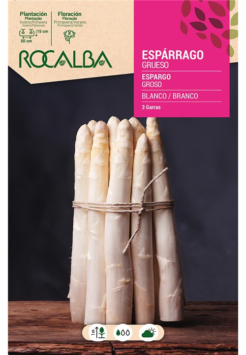 ESP�RRAGO GRUESO -BLANCO-