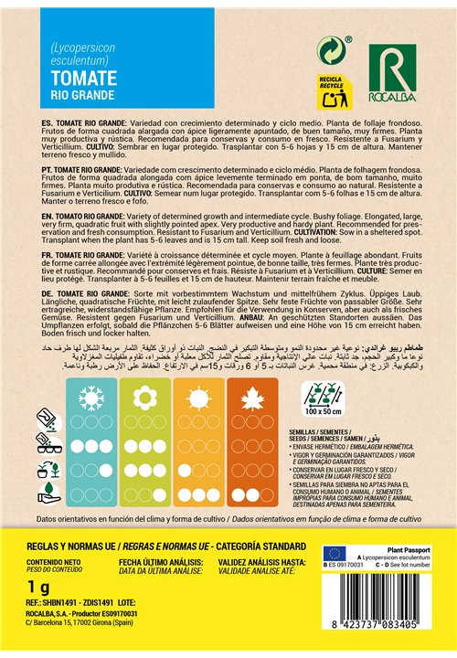TOMATE Rio grande