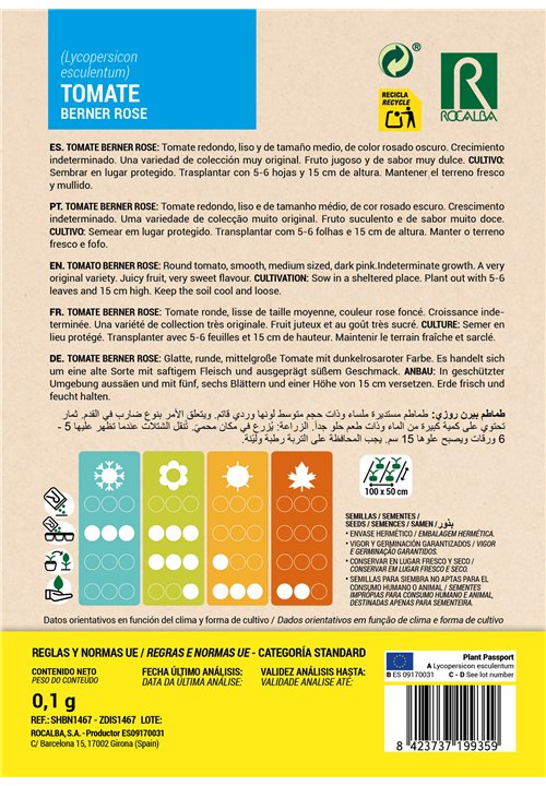 TOMATE Berner Rose