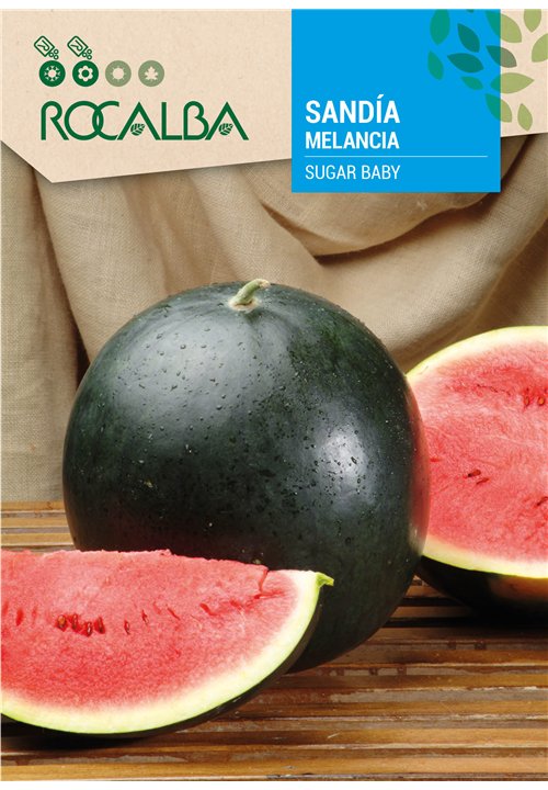 MELANCIA