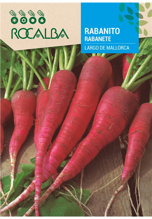 RABANITO Largo de Mallorca