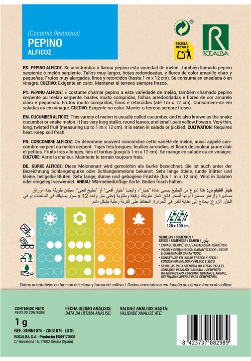 PEPINO Alficoz