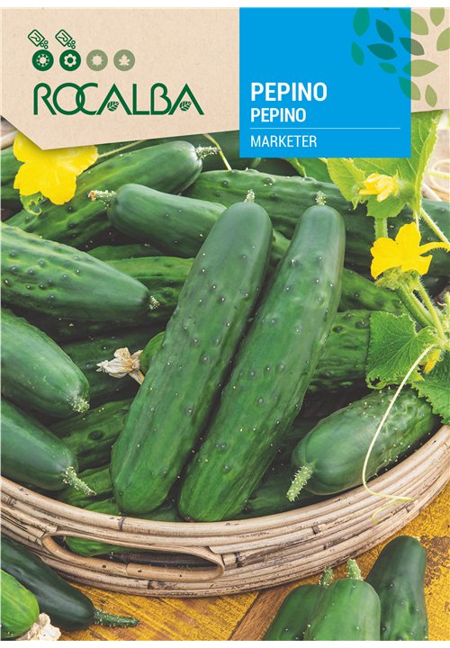 PEPINO