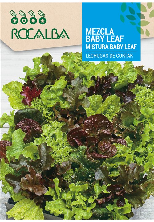 BABY LEAF MIX