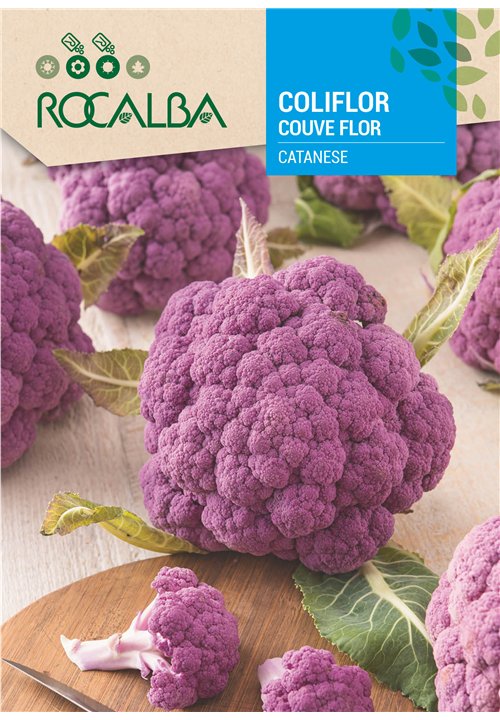 CAULIFLOWER