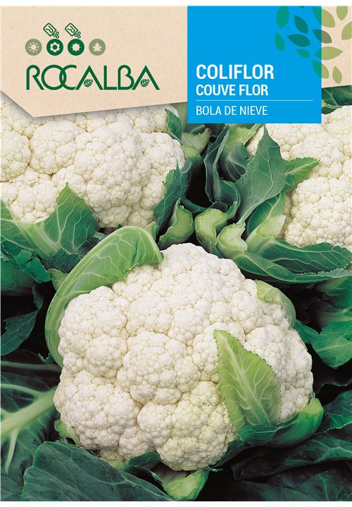 CAULIFLOWER