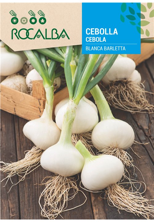 CEBOLLA Blanca barletta