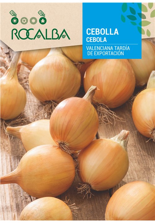 CEBOLLA Valenciana tardia de exportacion