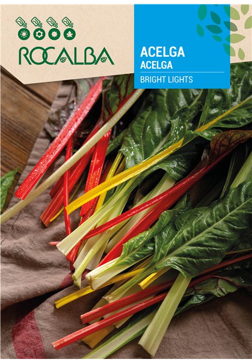 ACELGA BRIGHT LIGHTS BRIGHT LIGHTS