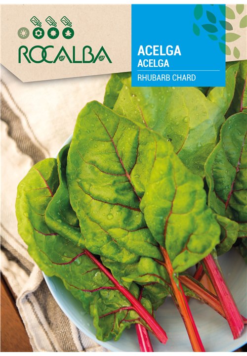 ACELGA RHUBARB CHARD ROJA RHUBARB CHARD