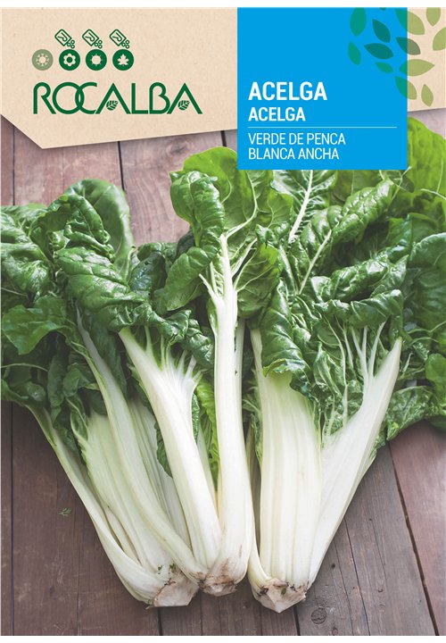 ACELGA Verde de Penca Blanca Ancha