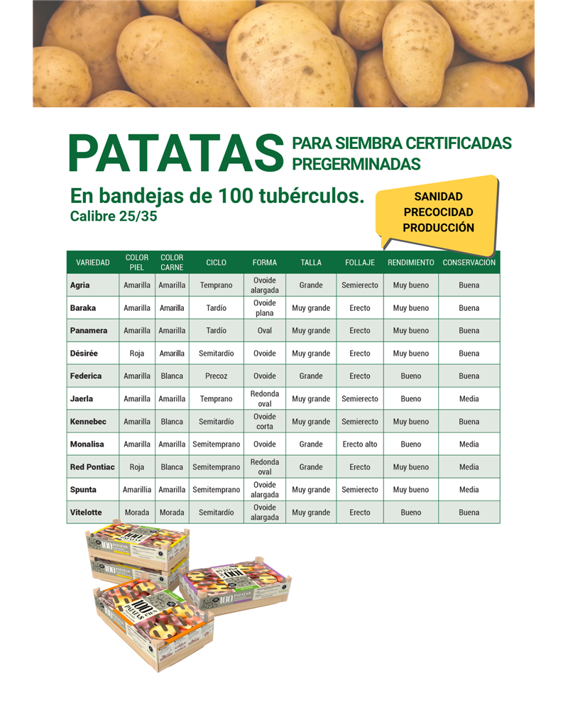 Patates