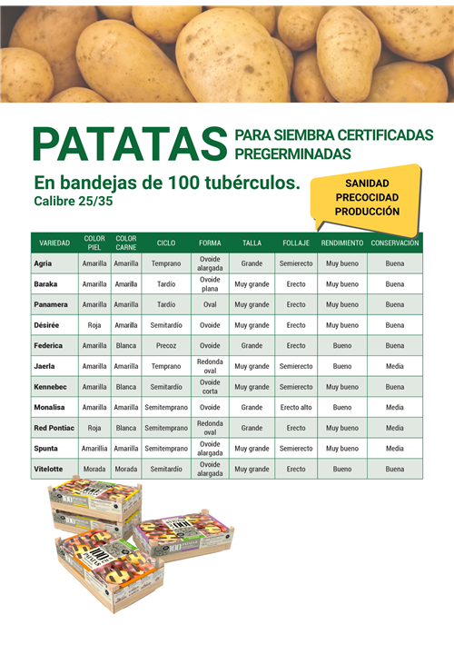 Patatas