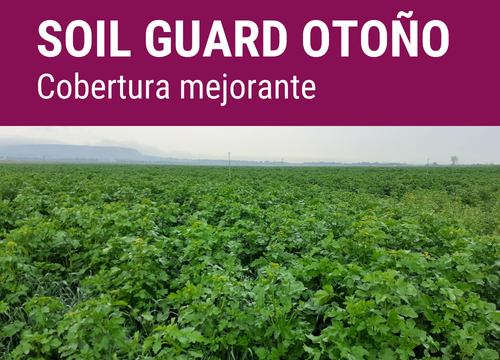 SEMILLA GREENPLUS FORMULA SOIL GUARD