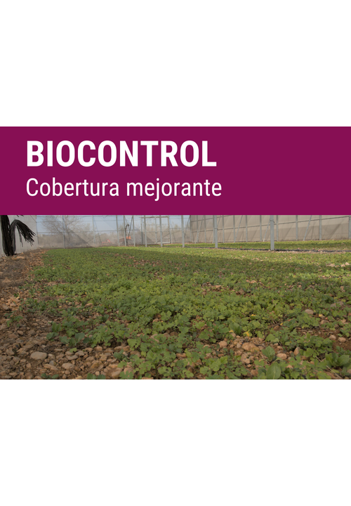 SEMILLA GREENPLUS FORMULA BIOCONTROL