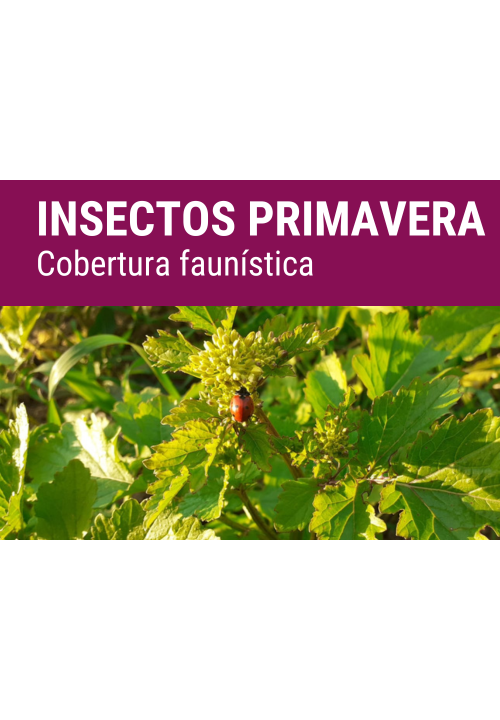 SEMILLA AUXIPLUS FORMULA STABILITY