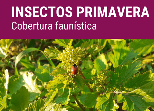 SEMILLA AUXIPLUS FORMULA STABILITY