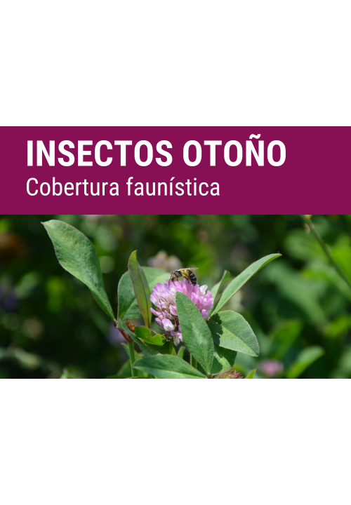 SEMILLA AUXIPLUS FORMULA DIVERSITY