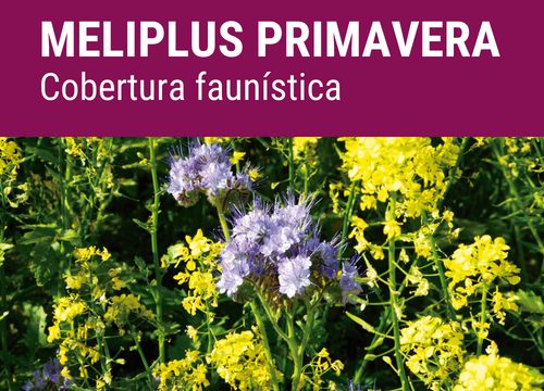 SEMILLA MELIPLUS FORMULA SYMPHONY