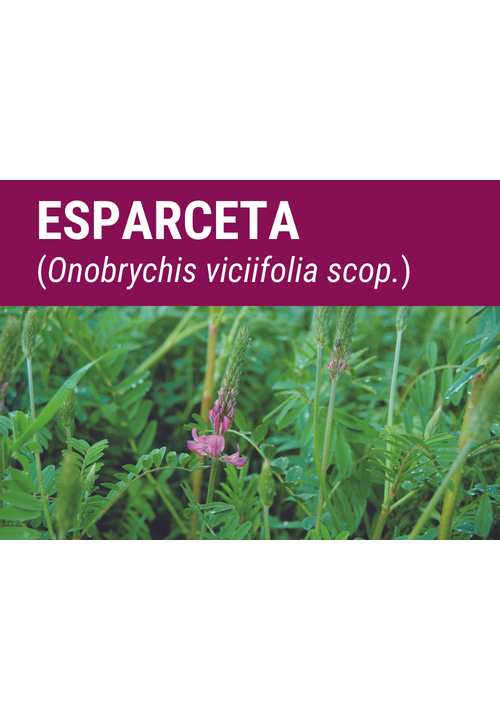 SEMILLA ESPARCETA