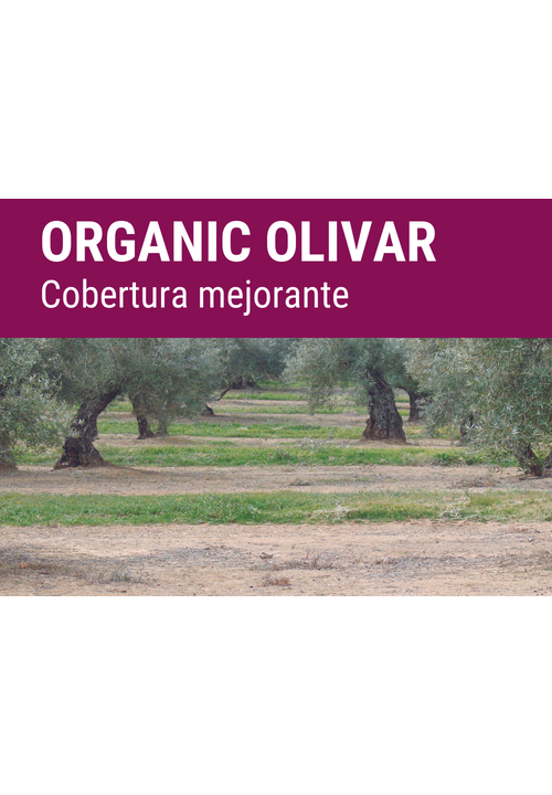 SEMILLA COVERPLUS FORMULA ANUAL OLIVAR