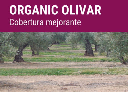 SEMILLA COVERPLUS FORMULA ANUAL OLIVAR