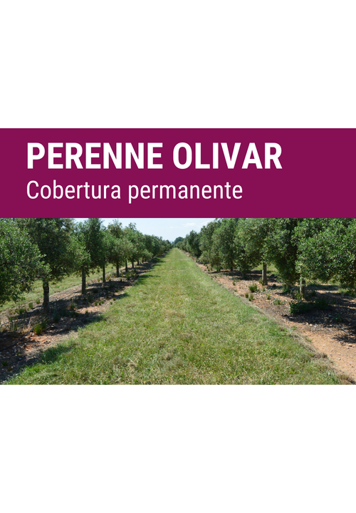SEMILLA COVERPLUS FORMULA PERENNE OLIVAR