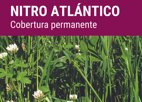 SEMILLA COVERPLUS FORMULA NITRO