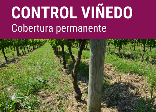 SEMILLA COVERPLUS FORMULA POWER