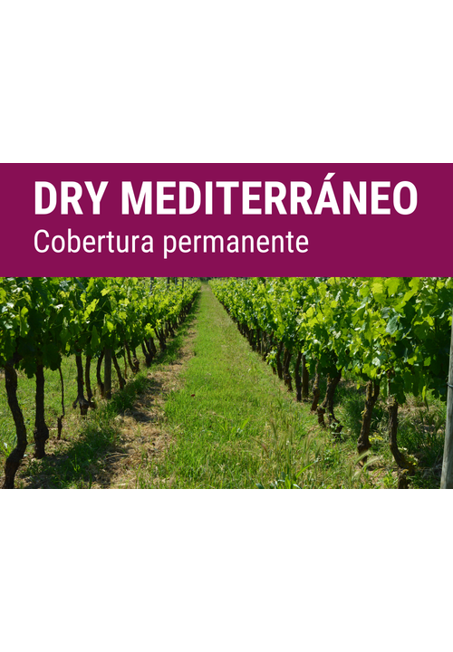 SEMILLA COVERPLUS FORMULA DRY