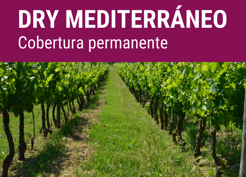 SEMILLA COVERPLUS FORMULA DRY