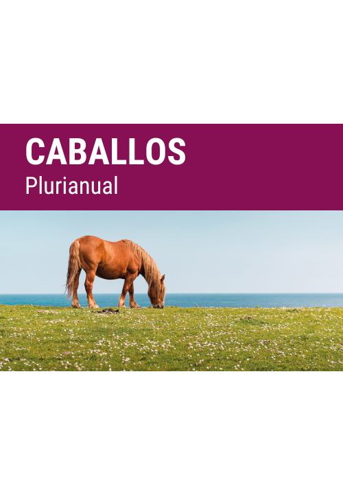 SEMILLA PRADERA FORMULA REGMIX CABALLOS