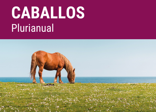 SEMILLA PRADERA FORMULA REGMIX CABALLOS