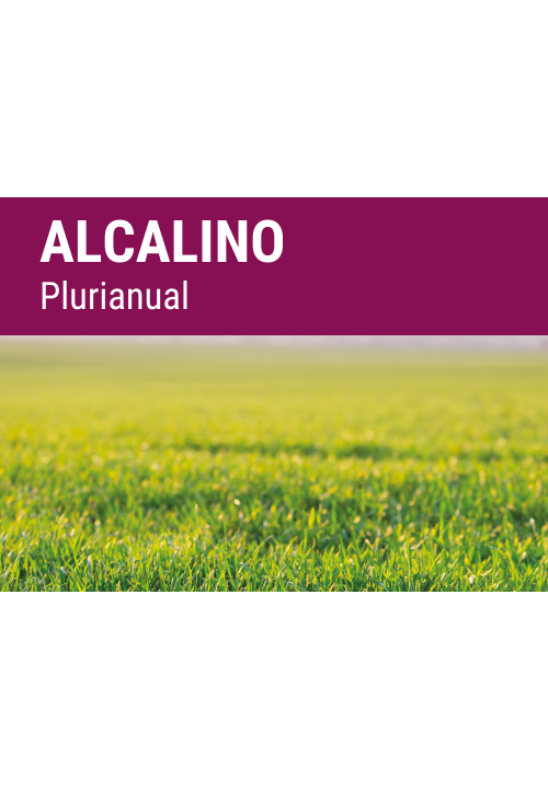 SEMILLA PRADERA FORMULA REGMIX ALCALINO