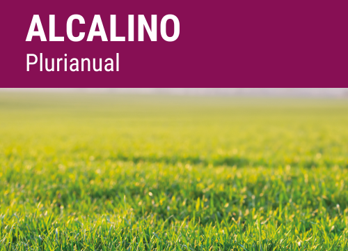 SEMILLA PRADERA FORMULA REGMIX ALCALINO