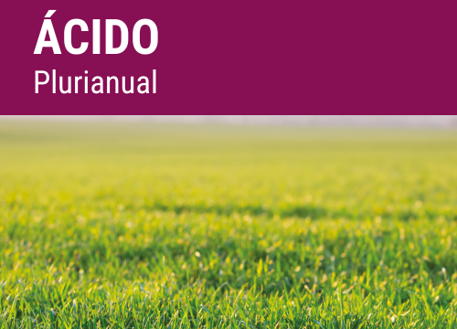 SEMILLA PRADERA FORMULA REGMIX ACIDO