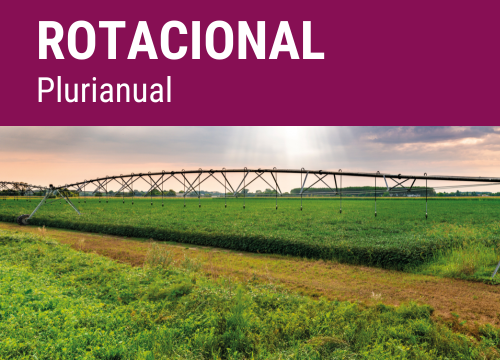 SEMILLA PRADERA FORM.PLURIMIX ROTACIONAL