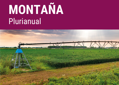 SEMILLA PRADERA F.MONTAÑA