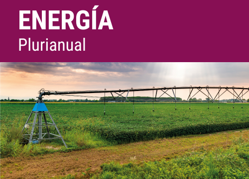 SEMILLA PRADERA F.ENERGIA